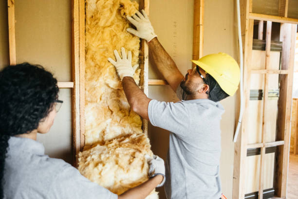 Best Insulation for New Construction  in Poplar Plains, CT